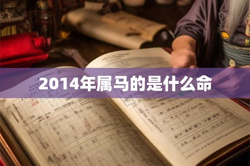 2014年属马的是什么命