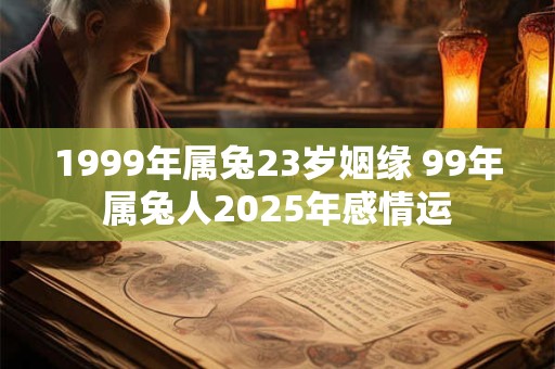 1999年属兔23岁姻缘 99年属兔人2025年感情运