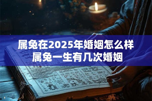 属兔在2025年婚姻怎么样 属兔一生有几次婚姻 属兔在2025年婚姻怎么样 属兔一生有几次婚姻