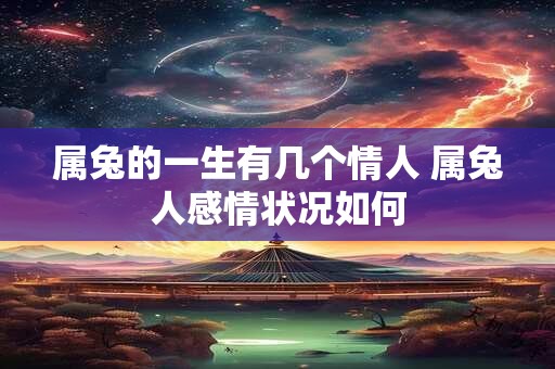 属兔的一生有几个情人 属兔人感情状况如何