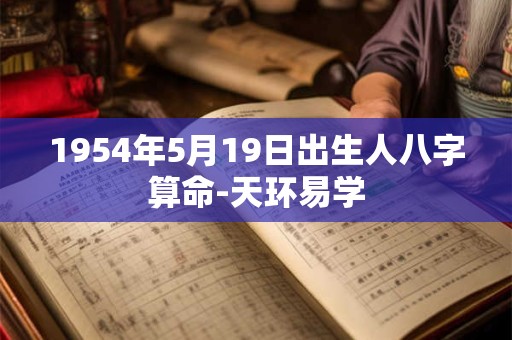 1954年5月19日出生人八字算命-天环易学