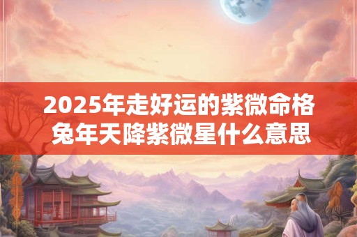 2025年走好运的紫微命格 兔年天降紫微星什么意思