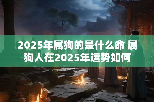 2025年属狗的是什么命 属狗人在2025年运势如何