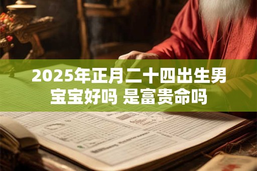 2025年正月二十四出生男宝宝好吗 是富贵命吗