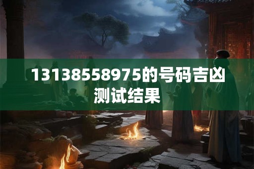 13138558975的号码吉凶测试结果