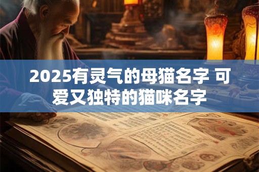 2025有灵气的母猫名字 可爱又独特的猫咪名字 2025有灵气的母猫名字 可爱又独特的猫咪名字