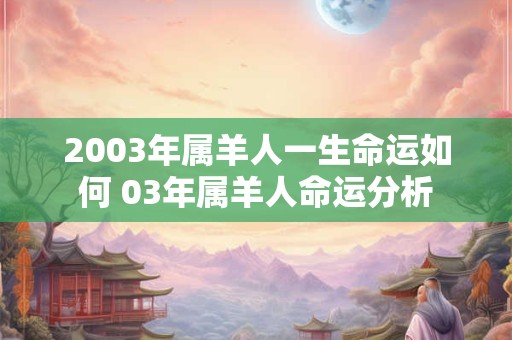 2003年属羊人一生命运如何 03年属羊人命运分析