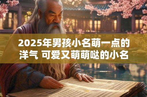 2025年男孩小名萌一点的洋气 可爱又萌萌哒的小名
