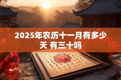 2025年农历十一月有多少天 有三十吗