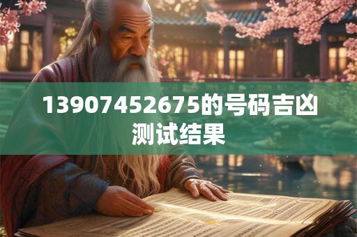 13907452675的号码吉凶测试结果