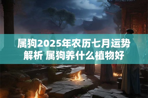 属狗2025年农历七月运势解析 属狗养什么植物好
