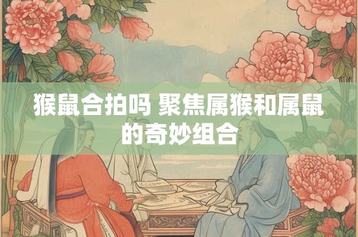猴鼠合拍吗 聚焦属猴和属鼠的奇妙组合