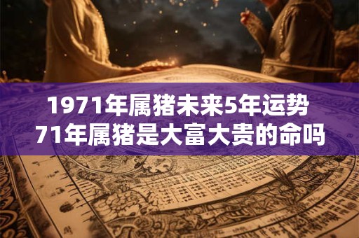 1971年属猪未来5年运势 71年属猪是大富大贵的命吗