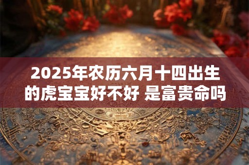 2025年农历六月十四出生的虎宝宝好不好 是富贵命吗