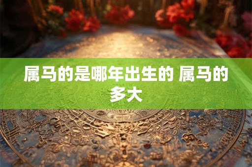 属马的是哪年出生的 属马的多大