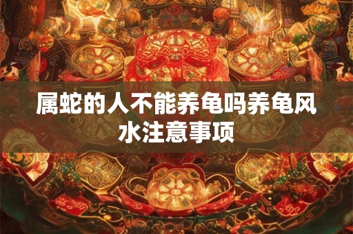 属蛇的人不能养龟吗养龟风水注意事项