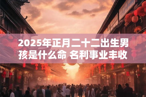 2025年正月二十二出生男孩是什么命 名利事业丰收命局