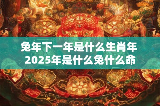 兔年下一年是什么生肖年 2025年是什么兔什么命 兔年下一年是什么生肖年 2025年是什么兔什么命