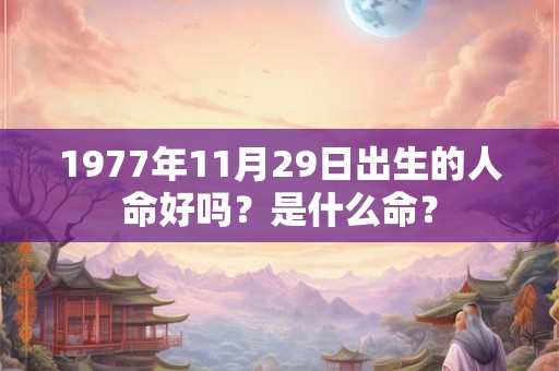1977年11月29日出生的人命好吗？是什么命？