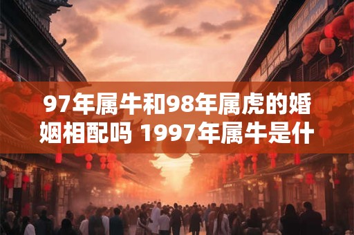 97年属牛和98年属虎的婚姻相配吗 1997年属牛是什么命
