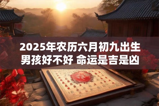 详细阅读:2025年农历六月初九出生男孩好不好 命运是吉是凶 2025年农历六月初九出生男孩好不好 命运是吉是凶