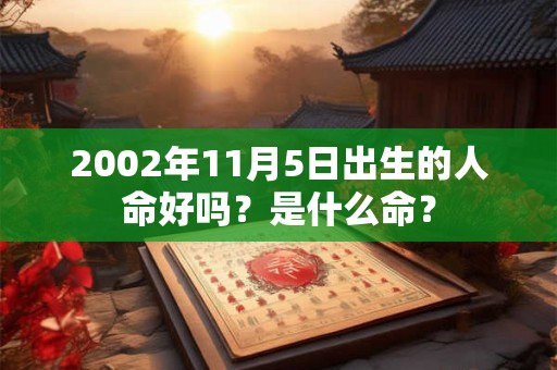 2002年11月5日出生的人命好吗？是什么命？