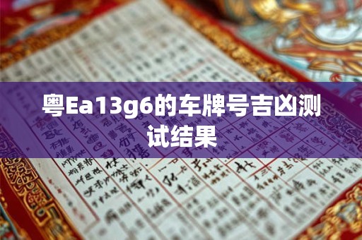 粤Ea13g6的车牌号吉凶测试结果