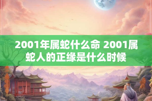 2001年属蛇什么命 2001属蛇人的正缘是什么时候