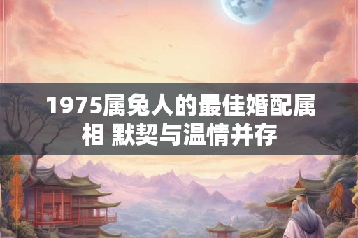 1975属兔人的最佳婚配属相 默契与温情并存