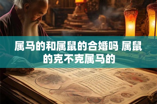 属马的和属鼠的合婚吗 属鼠的克不克属马的