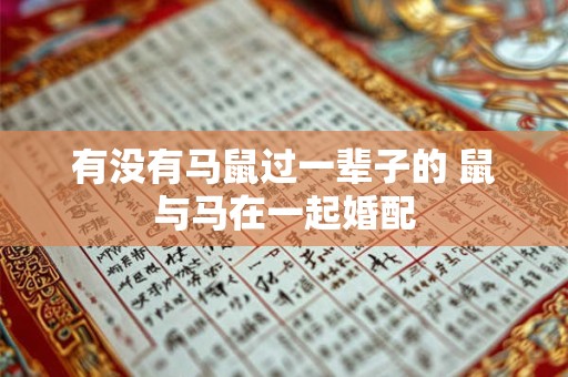 有没有马鼠过一辈子的 鼠与马在一起婚配