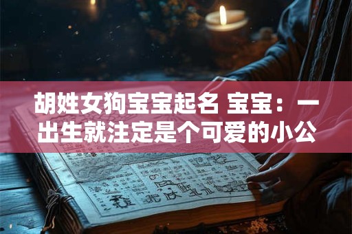 胡姓女狗宝宝起名 宝宝：一出生就注定是个可爱的小公主