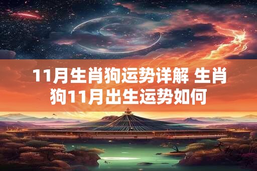 11月生肖狗运势详解 生肖狗11月出生运势如何