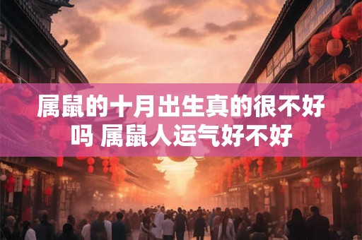 属鼠的十月出生真的很不好吗 属鼠人运气好不好