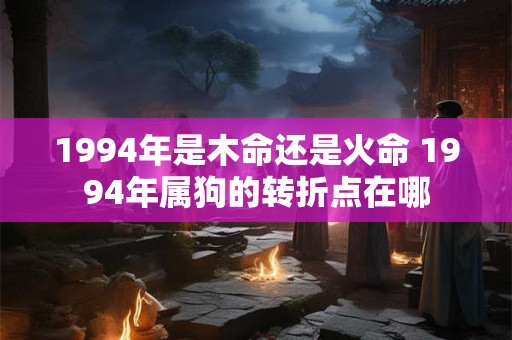 1994年是木命还是火命 1994年属狗的转折点在哪