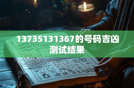 13735131367的号码吉凶测试结果