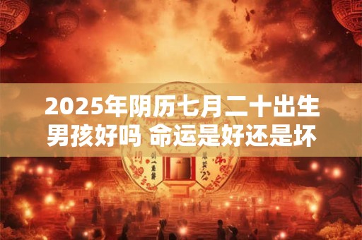 2025年阴历七月二十出生男孩好吗 命运是好还是坏