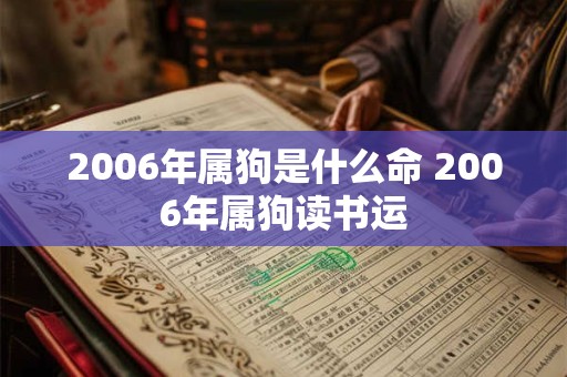 2006年属狗是什么命 2006年属狗读书运 2006年属狗是什么命 2006年属狗读书运