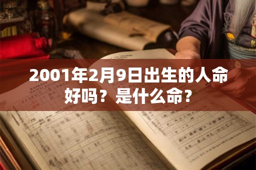 2001年2月9日出生的人命好吗？是什么命？