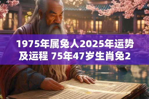 1975年属兔人2025年运势及运程 75年47岁生肖兔2025年每月运势