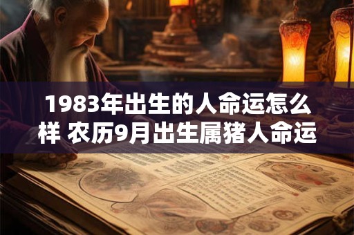 1983年出生的人命运怎么样 农历9月出生属猪人命运 1983年出生的人命运怎么样 农历9月出生属猪人命运