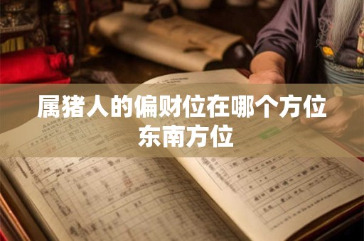 属猪人的偏财位在哪个方位 东南方位