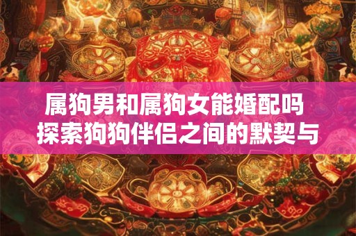 属狗男和属狗女能婚配吗 探索狗狗伴侣之间的默契与和谐