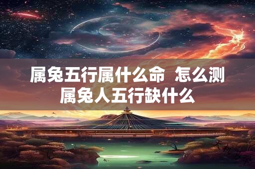 属兔五行属什么命  怎么测属兔人五行缺什么