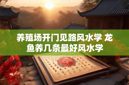养殖场开门见路风水学 龙鱼养几条最好风水学
