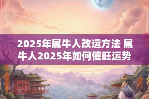2025年属牛人改运方法 属牛人2025年如何催旺运势