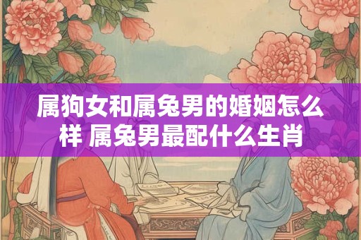 属狗女和属兔男的婚姻怎么样 属兔男最配什么生肖