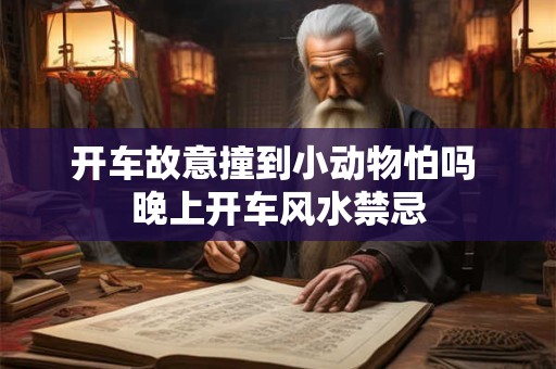 开车故意撞到小动物怕吗 晚上开车风水禁忌