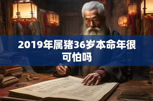 2019年属猪36岁本命年很可怕吗