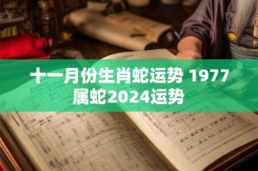 十一月份生肖蛇运势 1977属蛇2024运势